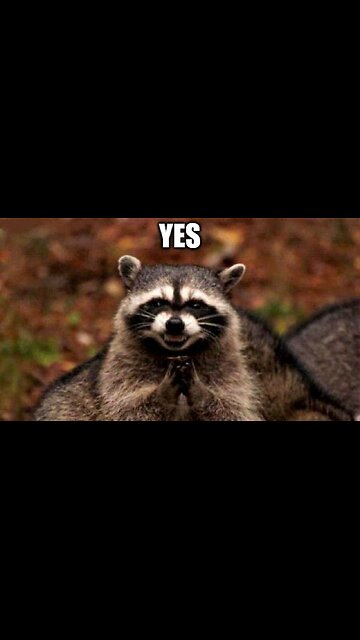 Live Look At Vice President JD Vance Contemplating Another Debate With Tim Walz