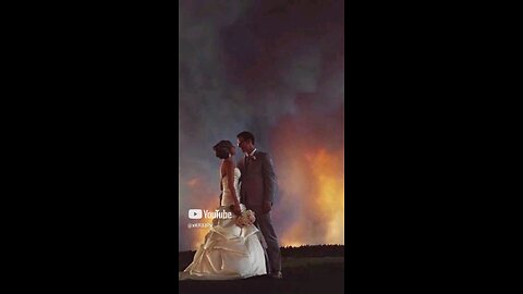 White Wedding