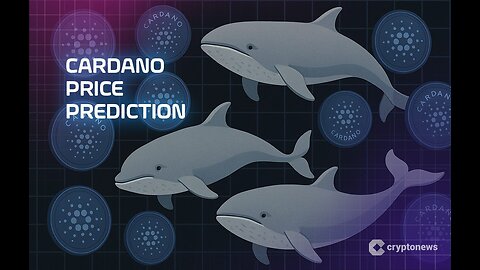 Cardano Price Prediction On-Chain Data Shows Whales Accumulated