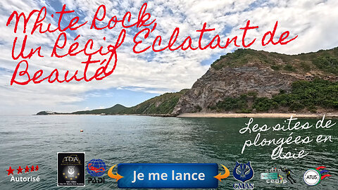 🌸 Plongée à White Rock, Koh Larn, Pattaya, Un Récif Éclatant de Beauté