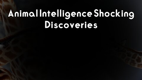 Amazing Animal Intelligence: Shocking Discoveries! #AnimalIntelligence #WildlifeDocumentary ...