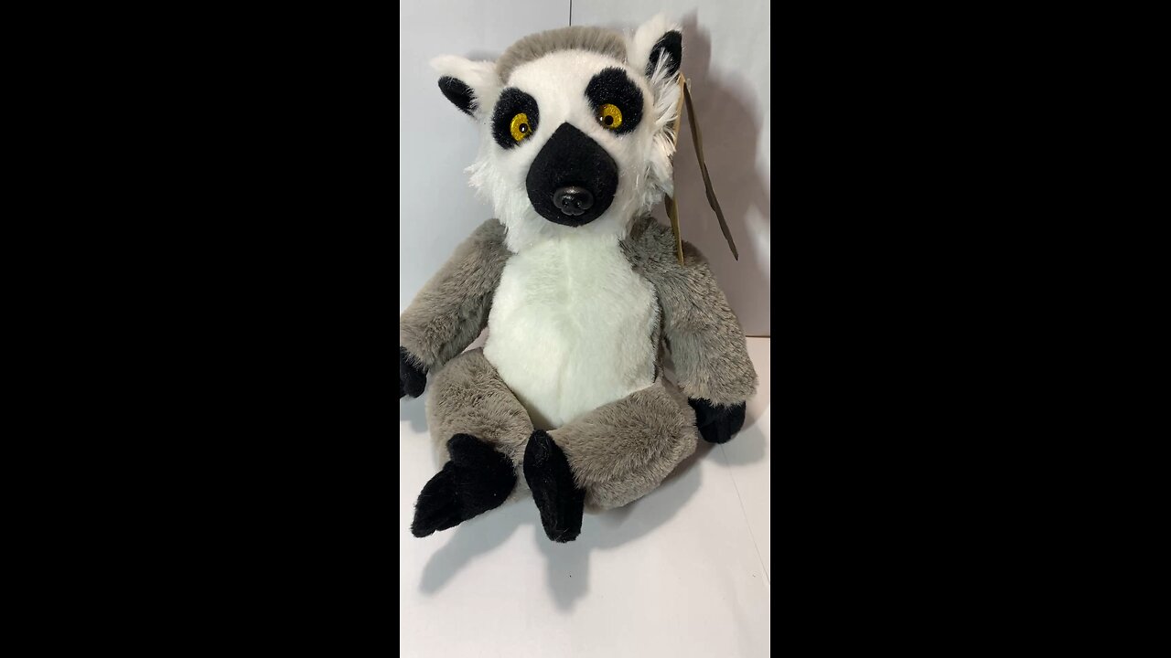 Mini-Vlog: Stop & Shop: Ring-Tailed Lemur (NWT's) 8" Stuffed Animal