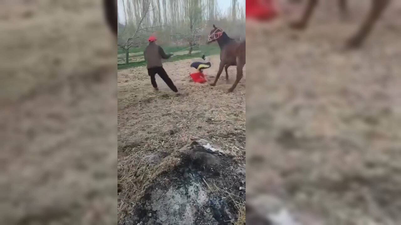 😂 Hilarious Funny Compilation | Try Not to Laugh Challenge