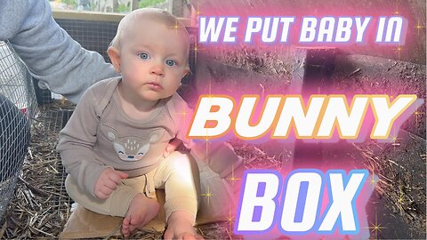 Baby Kayla in the Bunny Box 🐇 | Cutest Baby & Bunny Video!