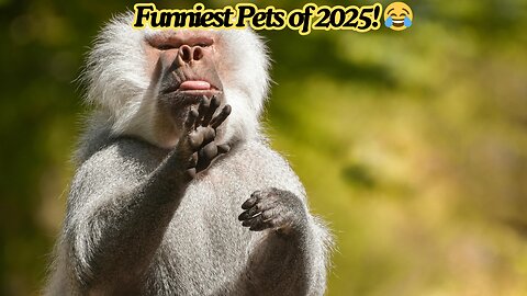 Funniest Pets of 2025! 😂 Best Viral Animal Videos of the Year | SmileUp