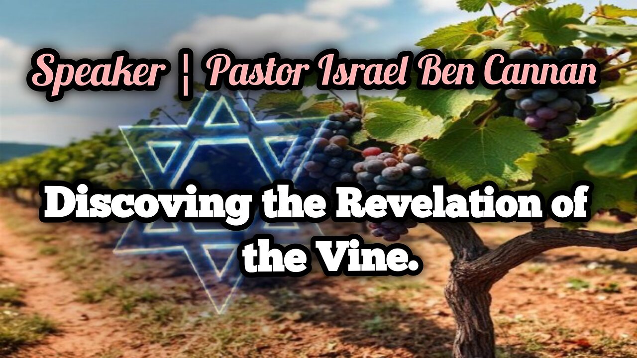 Vine John 15:1-3
