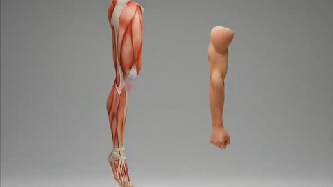 Création, science et foi : contradiction ou harmonie ? 🇫🇷