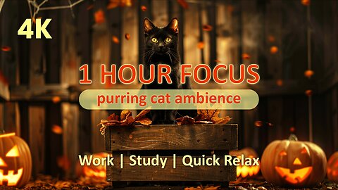 💡Study, Work, Focus | 1 Hour 4K Halloween Ambience | Productivity Reset | Relaxing Cat Purring ASMR