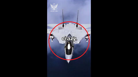 Why Did the US Navy Show Zero Respect to an Enemy Jet