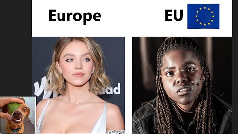 Memes That Will 99.0546% Make You Laugh. (e770)