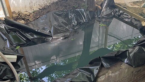 Pond Almost Done