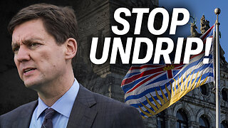 Reconciliation or discrimination? The truth about B.C.'s UNDRIP law and how to stop it