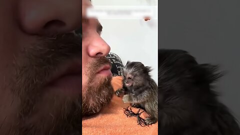 A man saved an unusual monkey and became her best friend