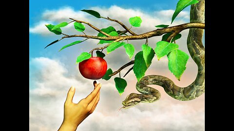 Forbidden Knowledge, Psychokinesis and The Wand of Destiny IRL