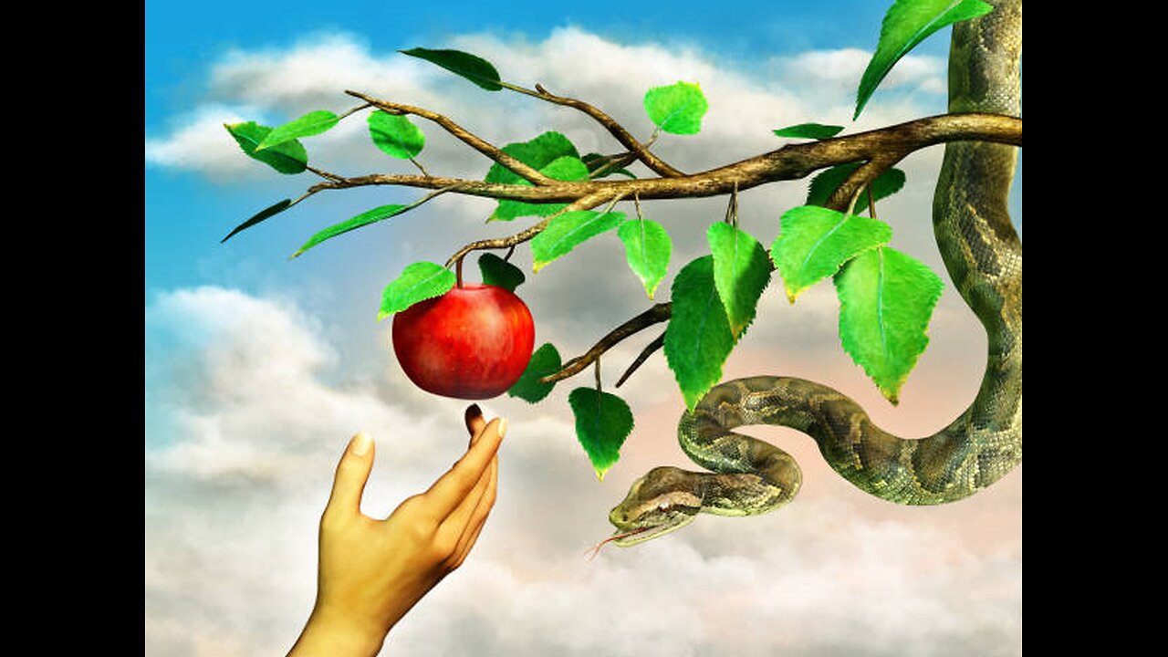 Forbidden Knowledge, Psychokinesis and The Wand of Destiny IRL