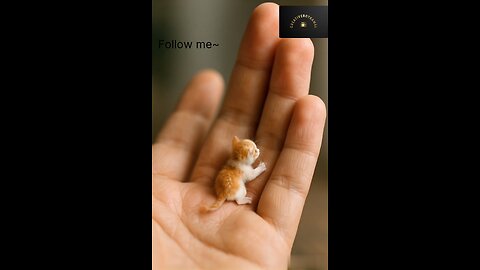 Little Miniatures