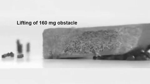 "Unlocking Potential: How Magnetic Micro Machines Tackle Complex Tasks Efficiently"