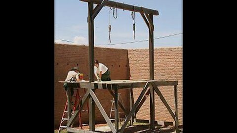 Watching a hanging from our villa roof. December 2007