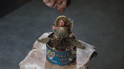 This Plant Needs HUMAN BLOOD Instead Of Water Movie Recap