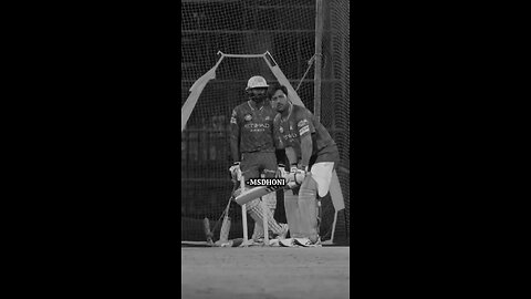 ms dhoni