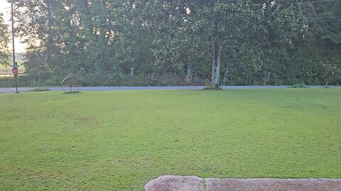Porch Report 070725
