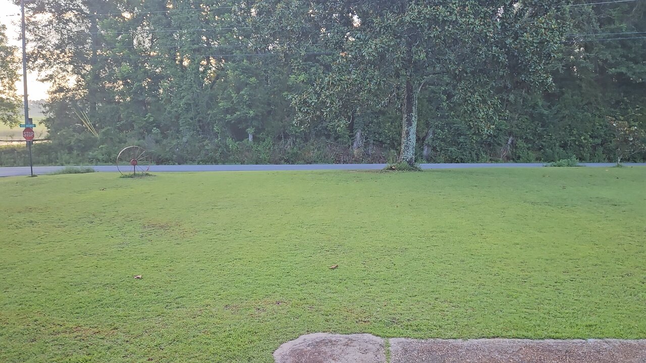 Porch Report 070725