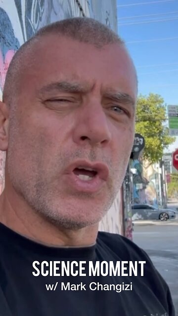 Progressives are more Islamist than 90% of Muslims