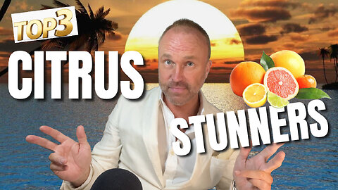 TOP 3 STUNNING SUMMER CITRUS FRAGRANCES FOR MEN