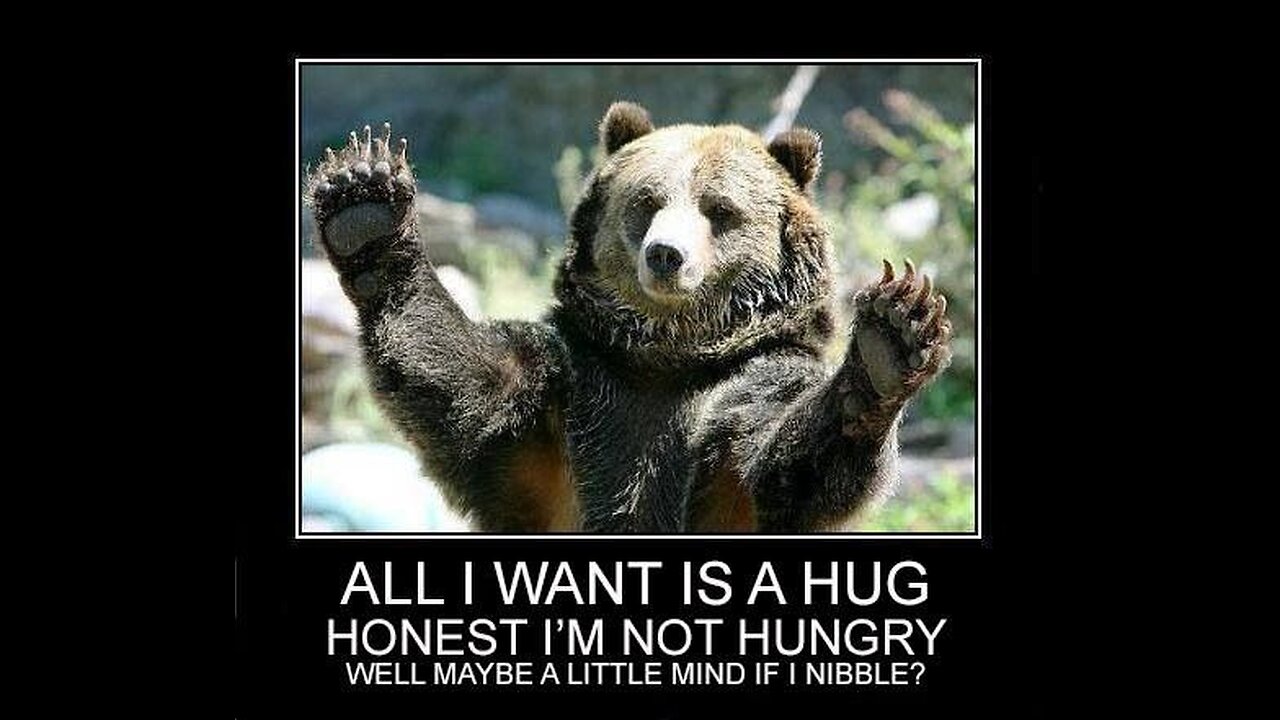 Starving Bear Guarding The Henhouse