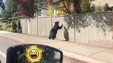 Canadian Fails 🤭.
