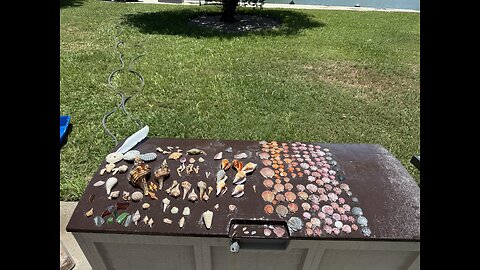 Beach Finds 5/16/2025 | 4K