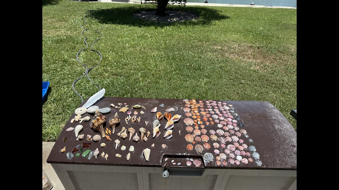 Beach Finds 5/16/2025 | 4K