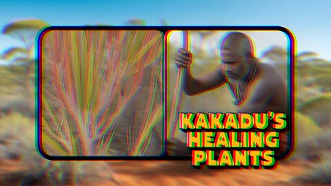 What Is Ethnobotany AU? 🥽Interaction with nature!