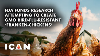 FDA Funds Research Attempting to Create GMO Bird-Flu-Resistant ‘Franken-Chickens’