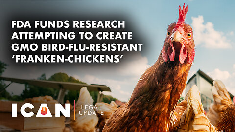 FDA Funds Research Attempting to Create GMO Bird-Flu-Resistant ‘Franken-Chickens’