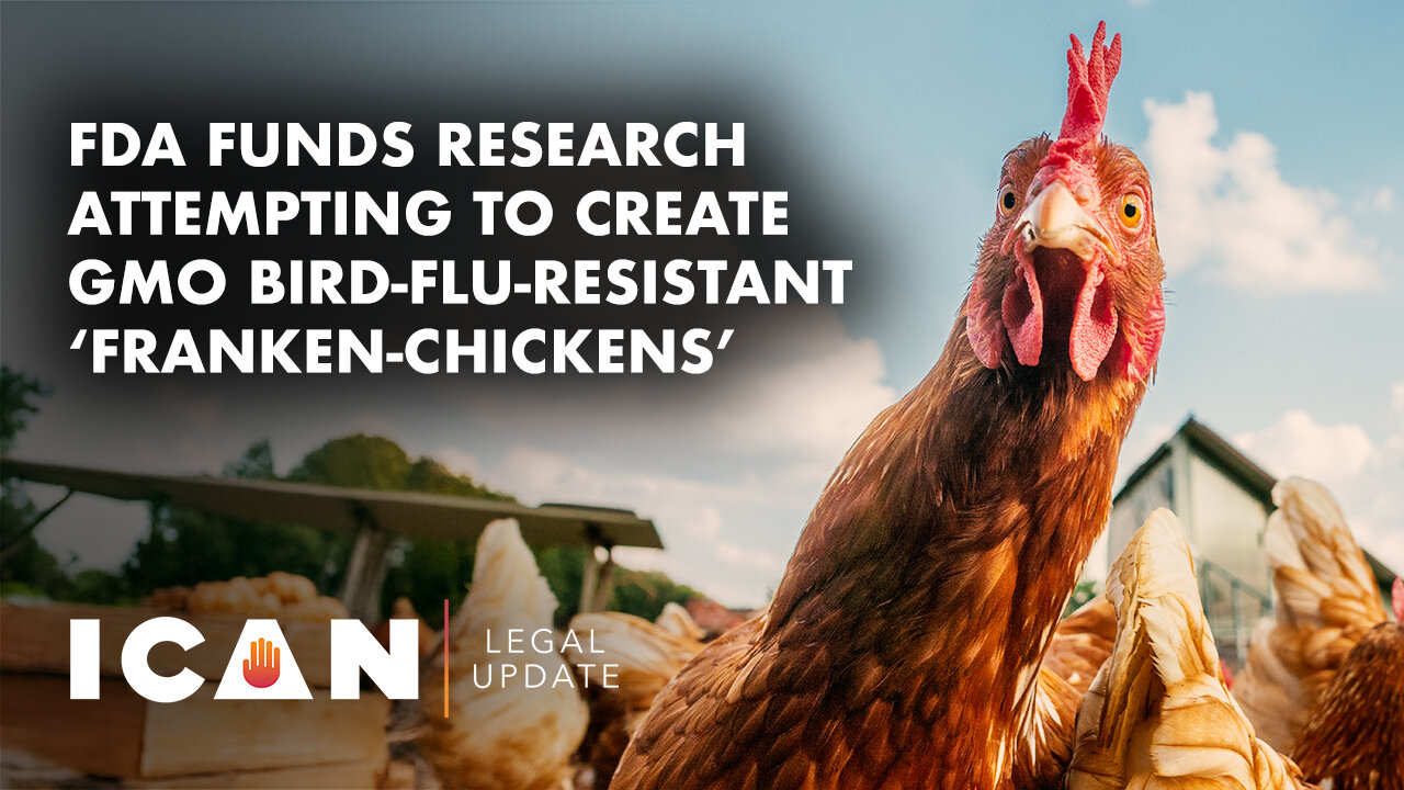 FDA Funds Research Attempting to Create GMO Bird-Flu-Resistant ‘Franken-Chickens’