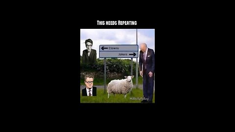 Sheep don’t lie !