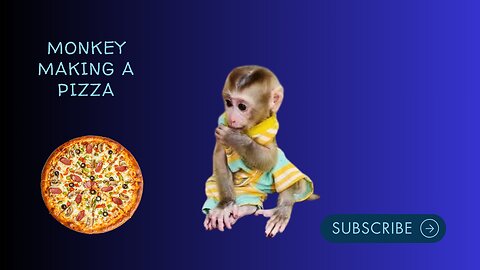 monkey enjoy funny video