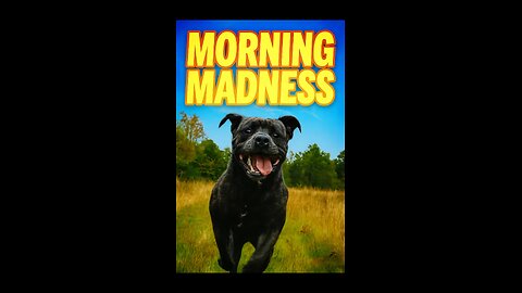 Morning Madness When your dog has too much energy in the morning 😅🔥