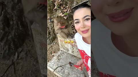 Animals Funny Compilation #funnyanimals #animals #pets #shorts