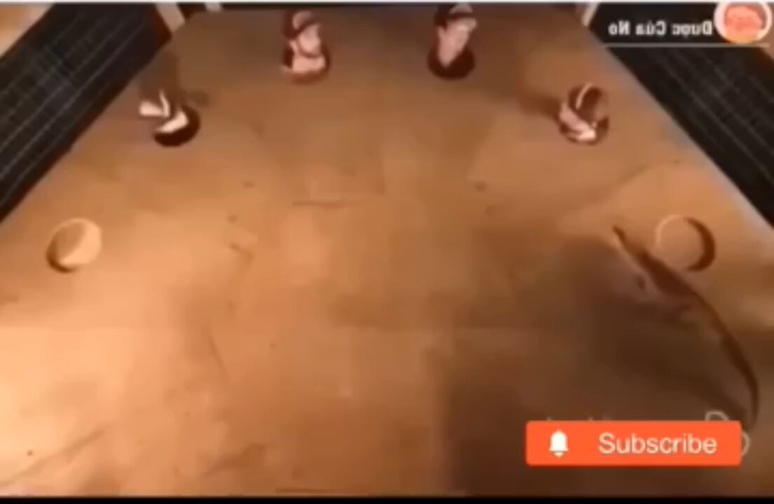 Dare to Do it 🤣