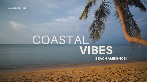 3 Hours of Coastal Calm – Beach Sounds for Relaxation