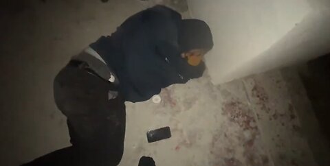 IP2 Stories - Coke Sleeping On Porch! Tokyo Trump Roasts Coke Puts Him in Shed