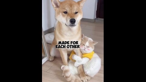 Made For Each Other