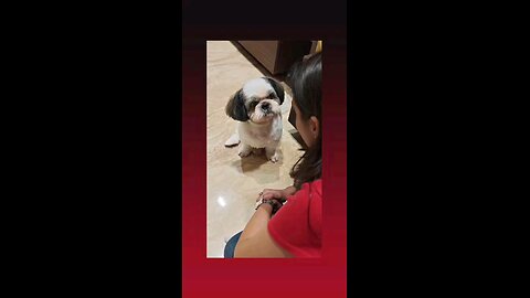 कितना स्वीट है