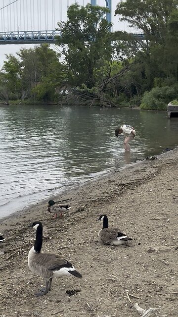 Predator In Windsor Park #predcatch