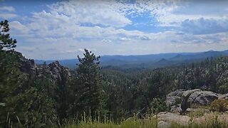 Cathedral Spires and Needles Highway Adventure