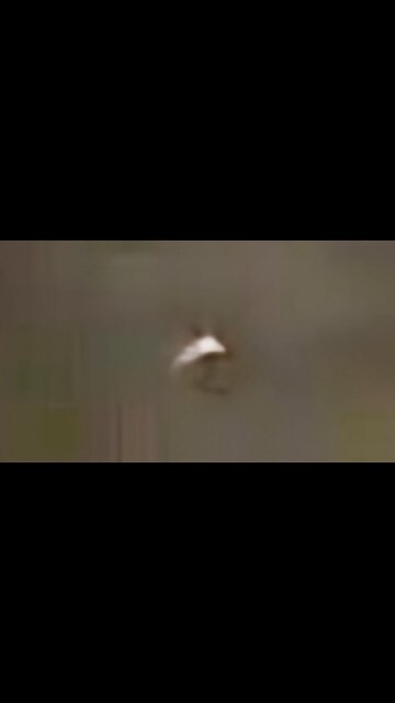 UAP in the Gulf of America