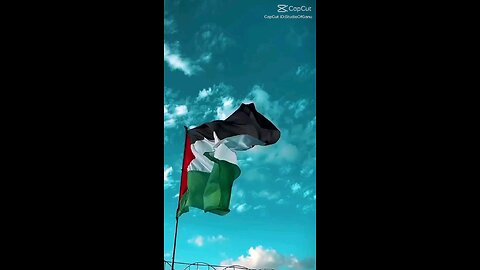free Palestine ✌️🇵🇸