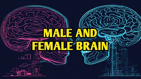 Male vs Female Brain: What's the Real Difference?